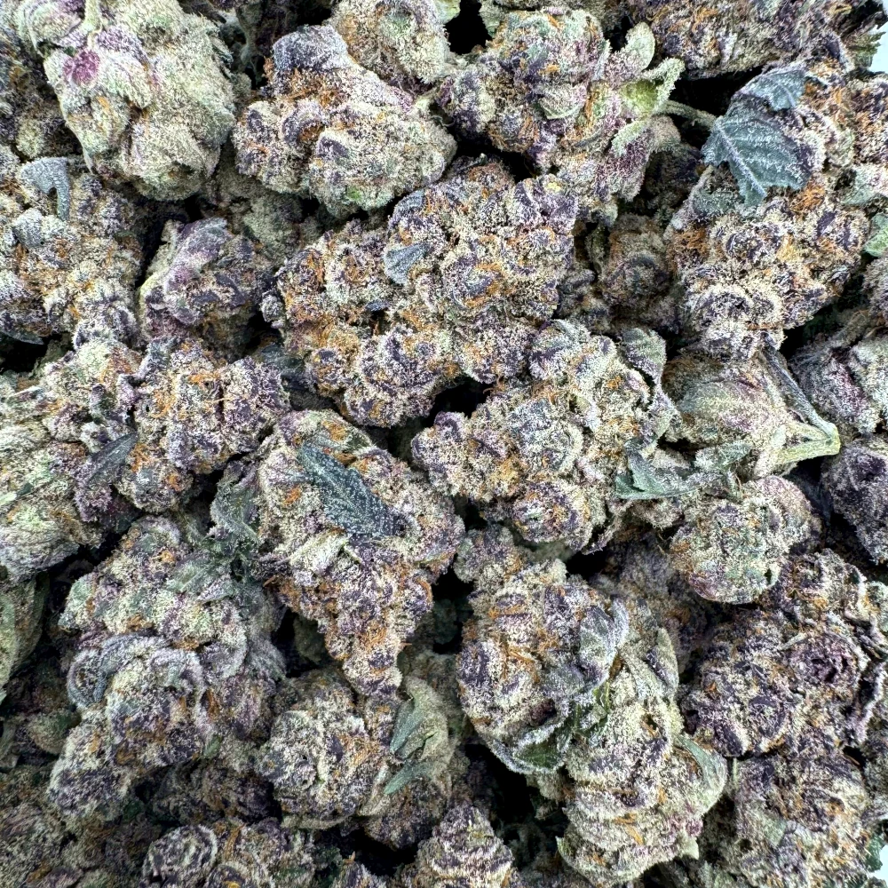 Tropicana Cookies *BULK*