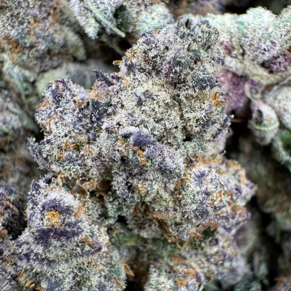 Tropicana Cookies Macro