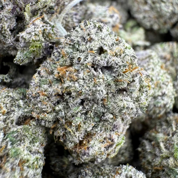 Alien OG Popcorn Macro