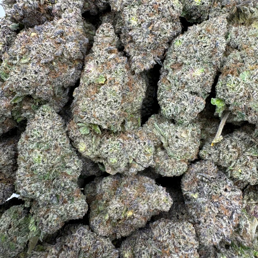 BBK Bulk BBK Bulk