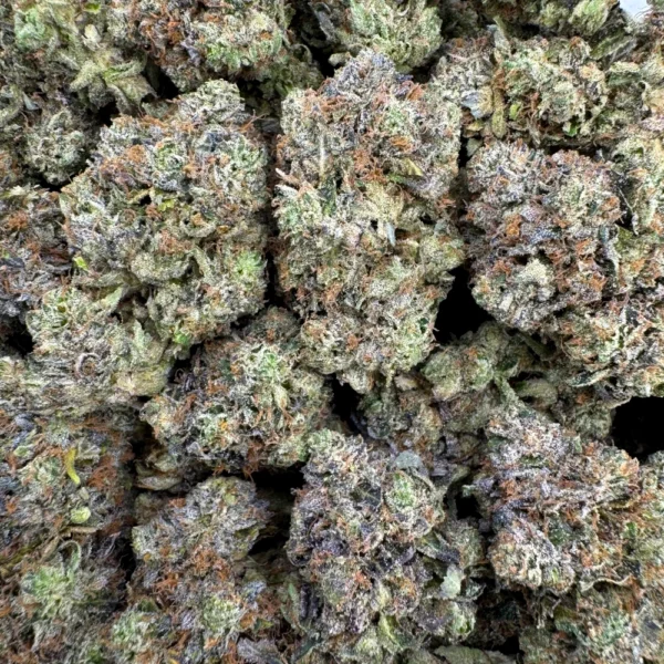 Black Gas Bulk
