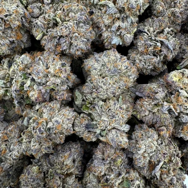 Chapos Gas Bulk
