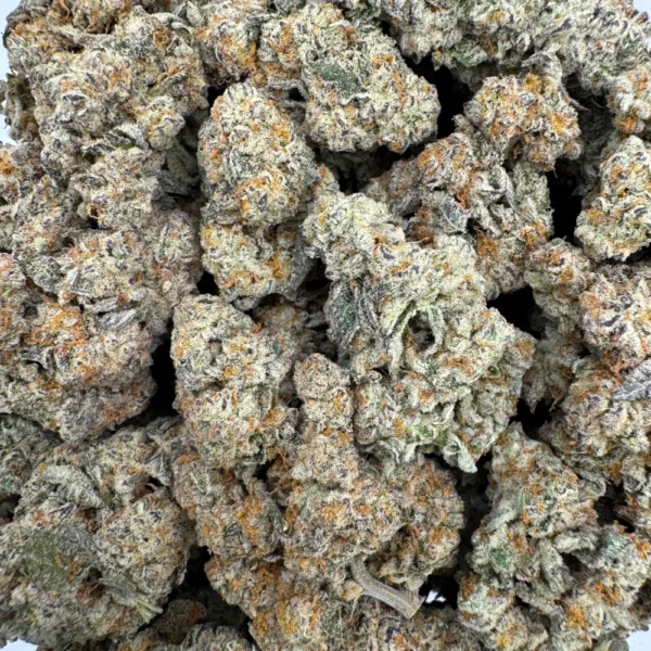 Cream Soda Bulk