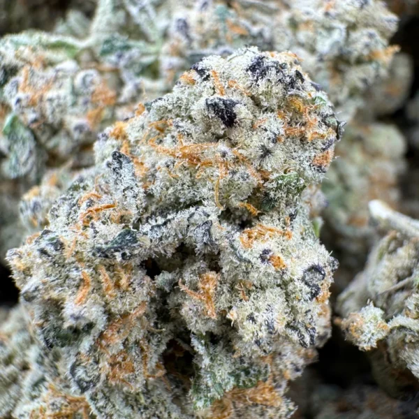 Cream Soda Macro