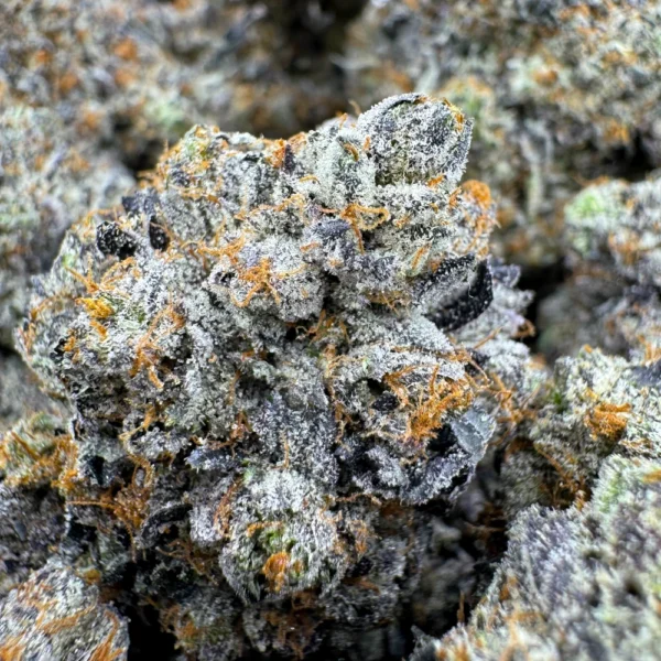 Death Bubba Macro
