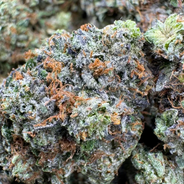 Death Tuna Macro