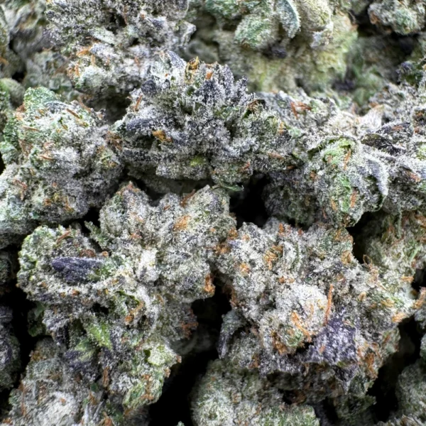 LSO MK Ultra Popcorn