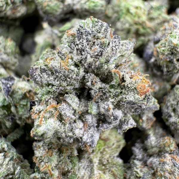 LSO MK Ultra Popcorn Macro