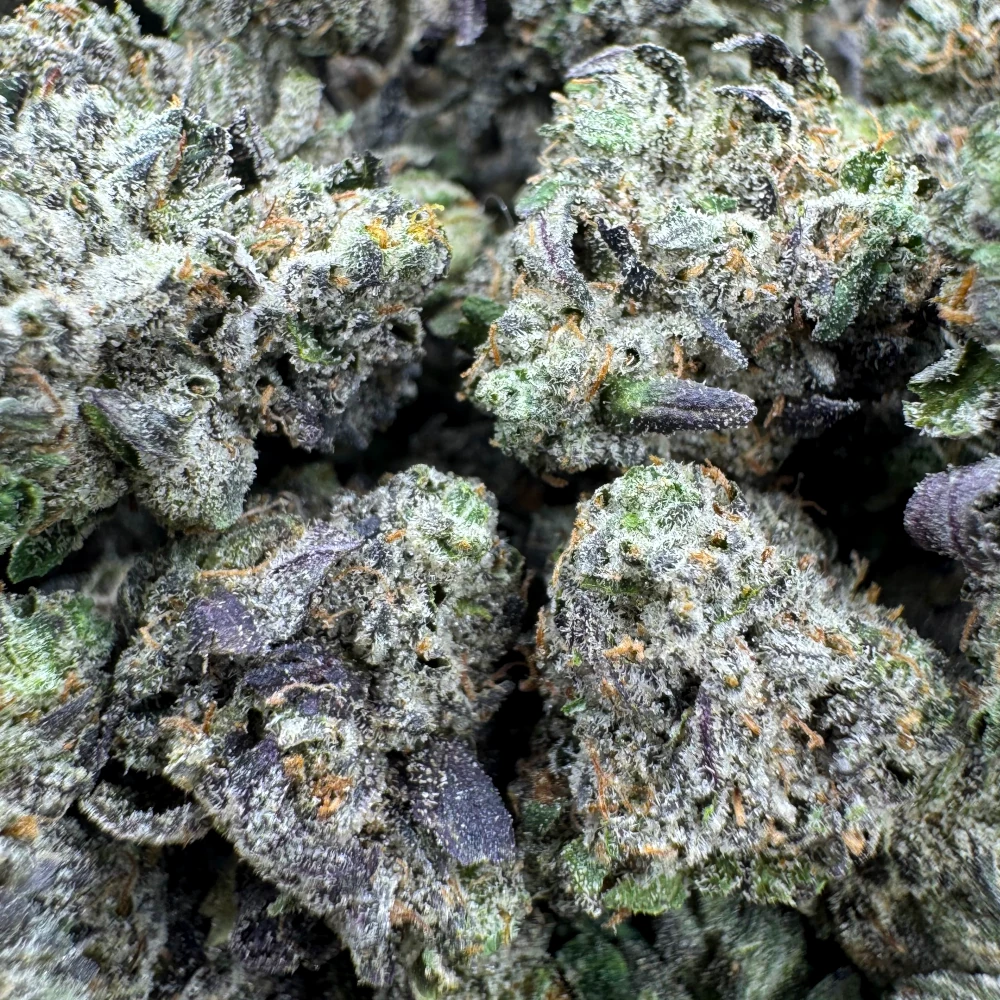 LSO Pink Kush Popcorn 1 LSO Pink Kush Popcorn