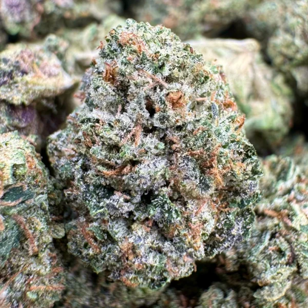Pink Death Popcorn Macro