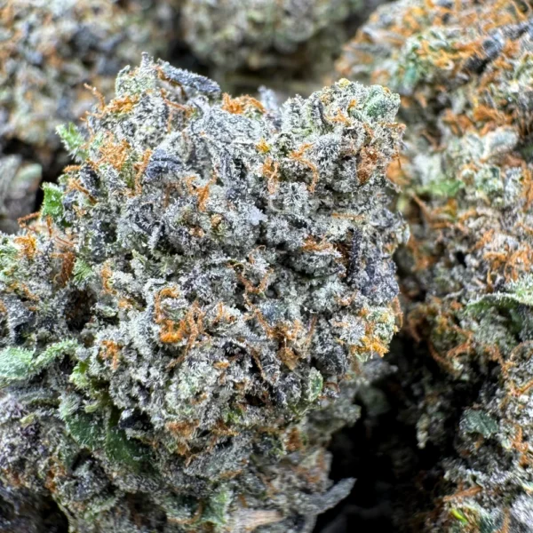 Pink Wagyu Macro
