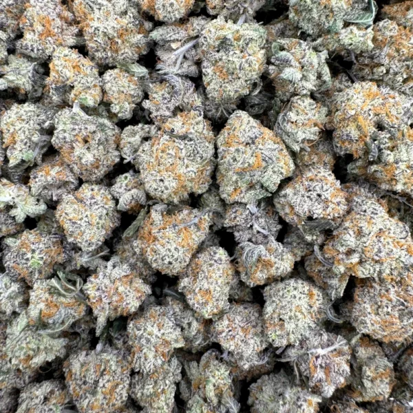 Apes in Space Popcorn Bulk