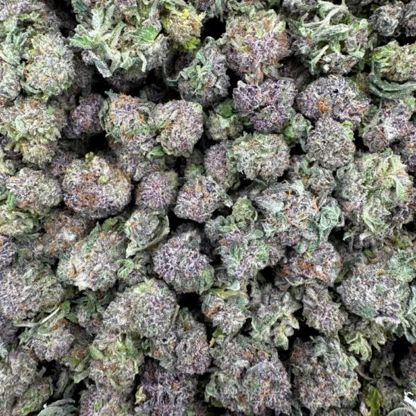 Gods Green Crack Popcorn Bulk