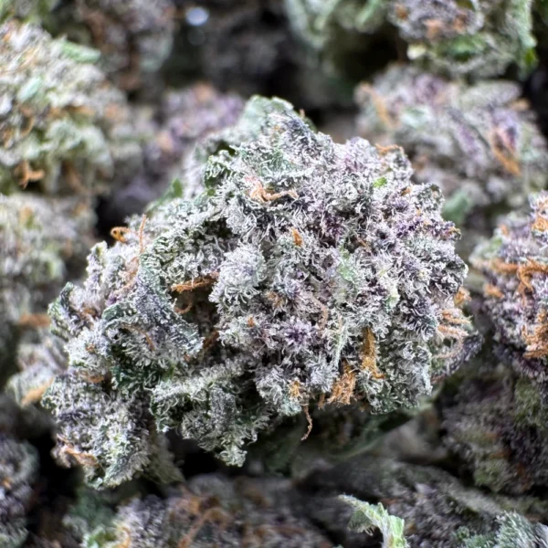 Gods Green Crack Popcorn Macro