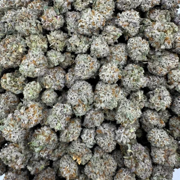 Gorilla Glue 4 Popcorn Bulk