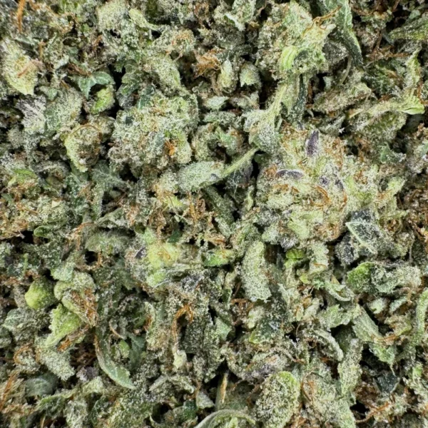 LSO Death Bubba Shake