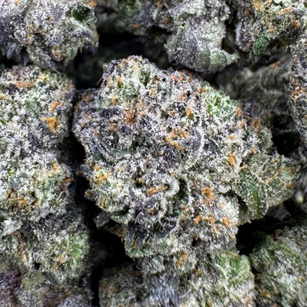 LSO Icky Sticky Pink Popcorn Macro