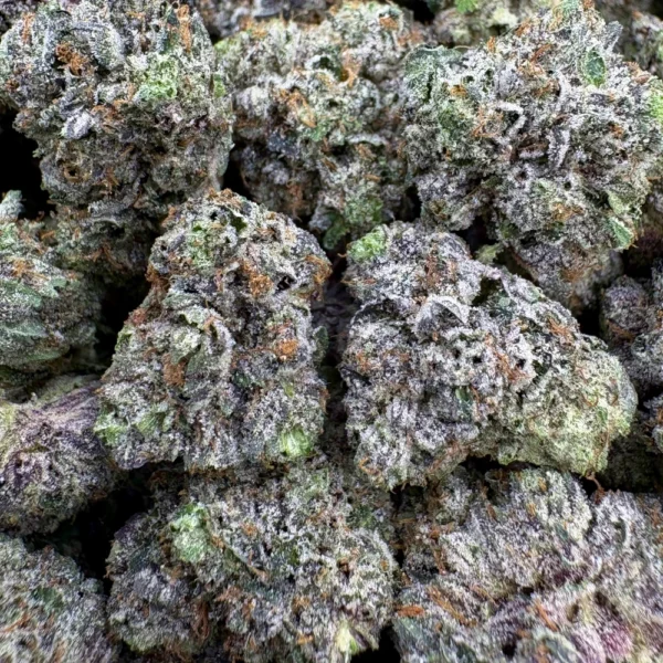 LSO Pink Rockstar Mediums